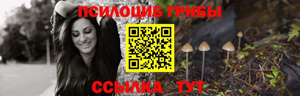 где найти   Галлюциногенные грибы MAGIC MUSHROOMS  Псилоцибиновые грибы GOLDEN TEACHER  Вход с VPN  Бутурлиновка 